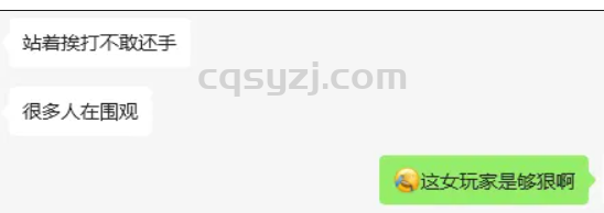 锤爆我区大哥的竟是一位女玩家？她的实力不可小觑